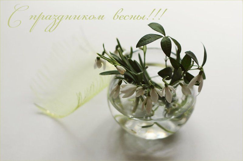 С праздником весны!photo preview