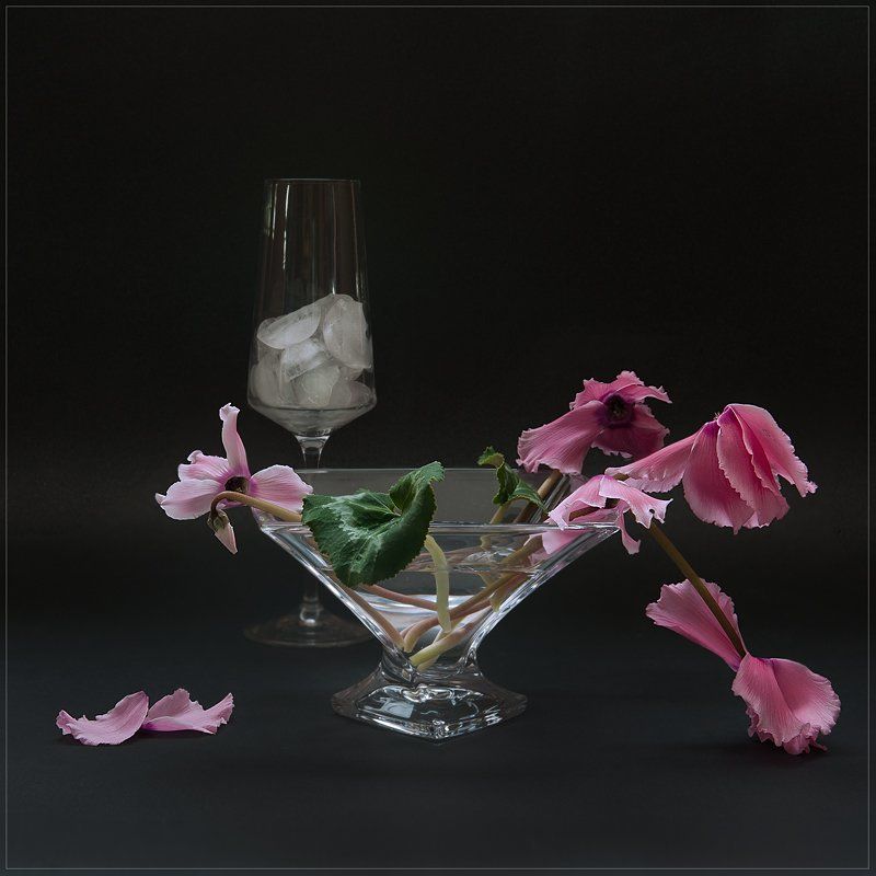 Уходит время цикламенов...photo preview