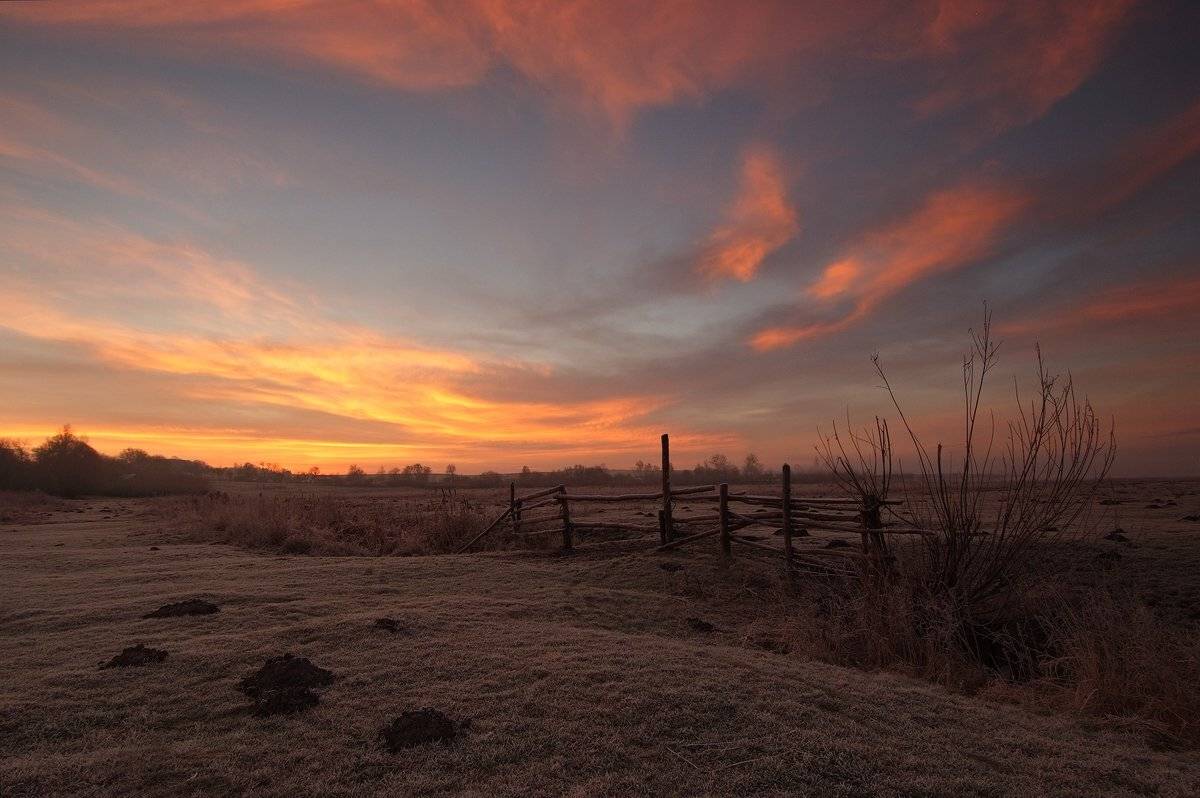 на заре .... Автор: Николай Шахманцир , Николай Шахманцир