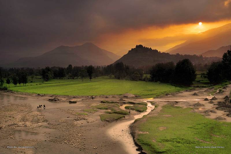 ===$===photo preview