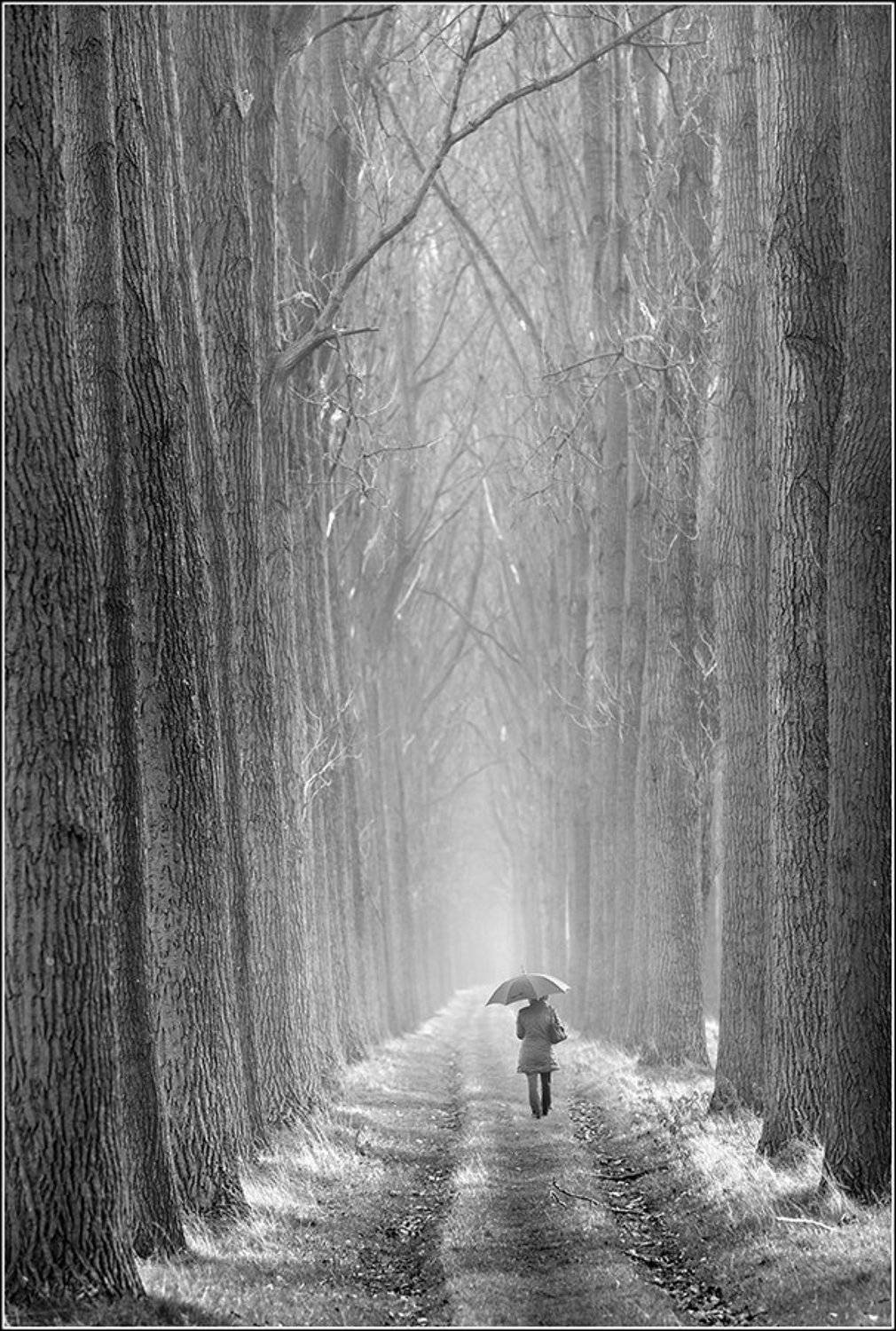 , Danny Vangenechten