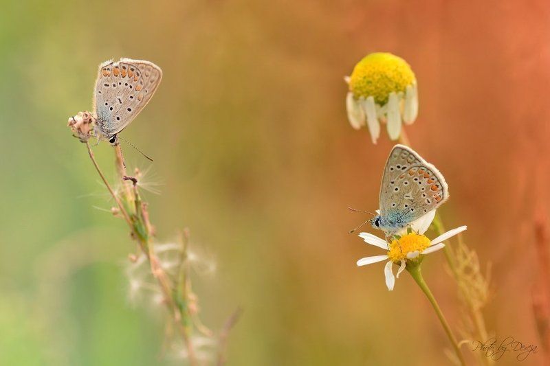 Кто когоphoto preview