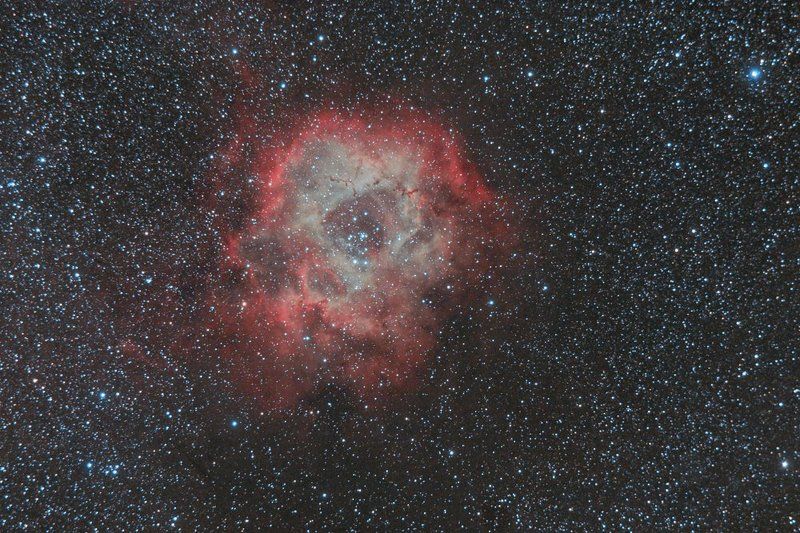 И РАСПУСТИЛИСЬ В БЕЗДНЕ РОЗЫ.....photo preview