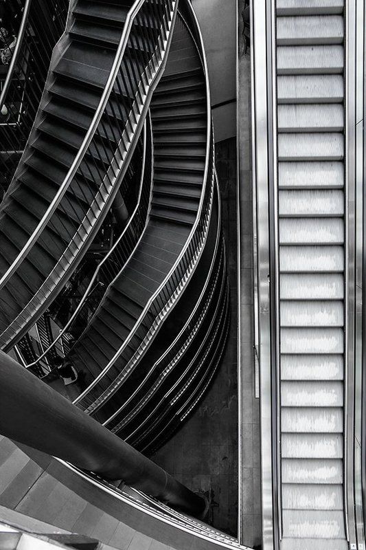 линииphoto preview