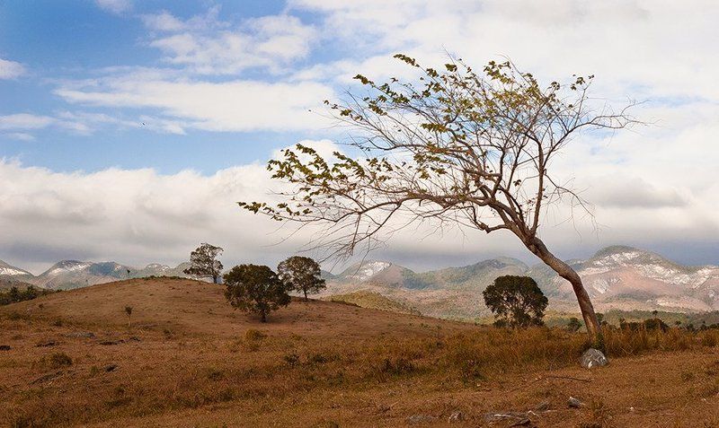 #121 фото превью