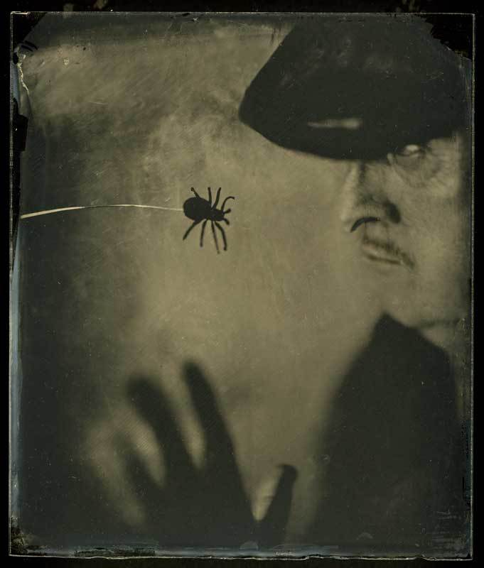 Сказки Черной вдовыphoto preview