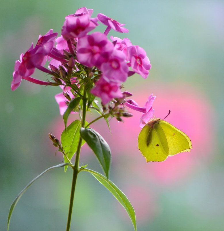 Воздушние очертанияphoto preview