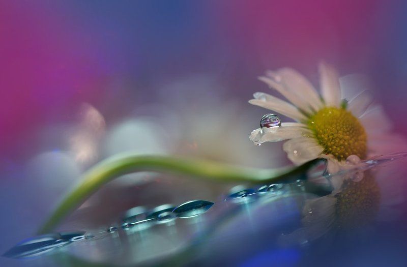 *\\o/*\\o/*\\o/*photo preview