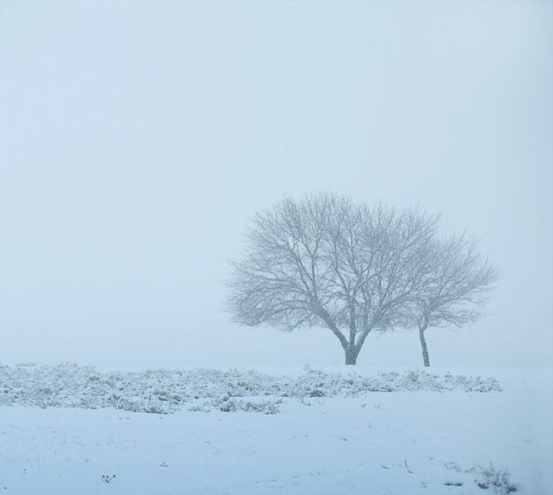 kaxahistan, turbatphoto preview