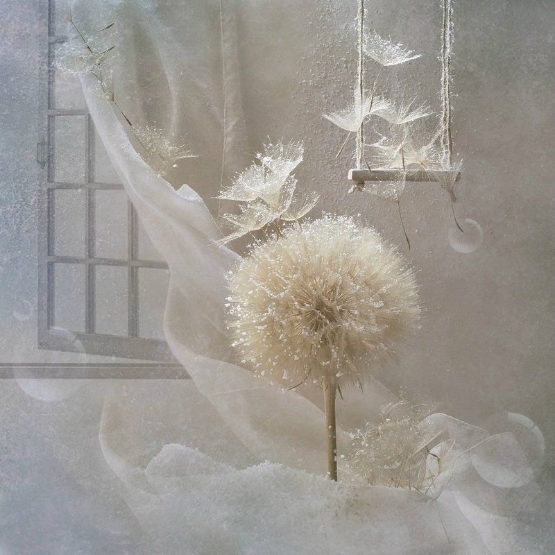 Нас не догонят...)photo preview