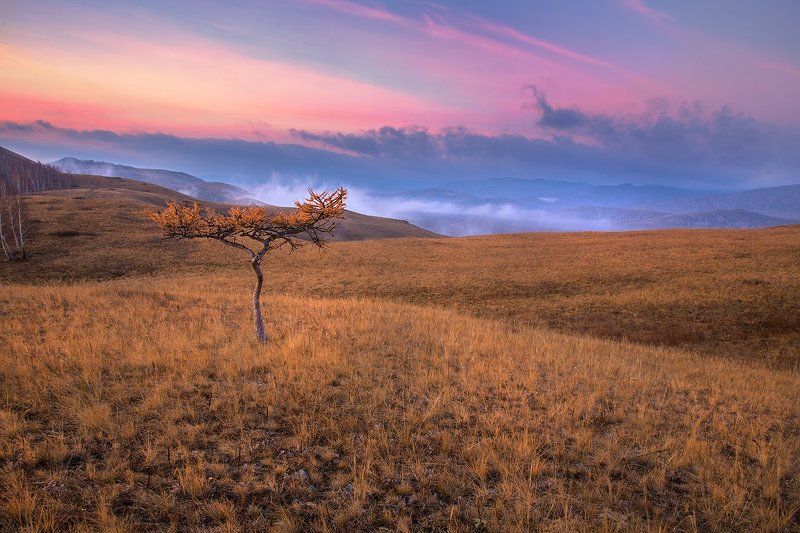 Осенним утром.photo preview