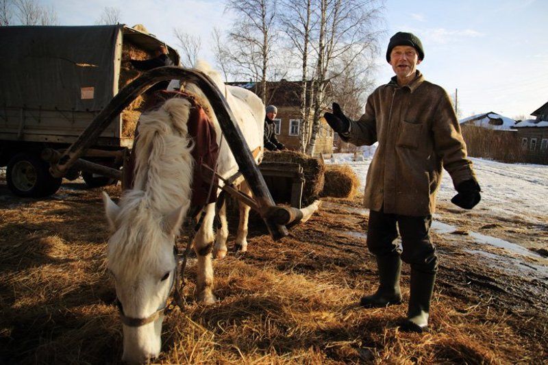 без лошадки никуда. однакоphoto preview