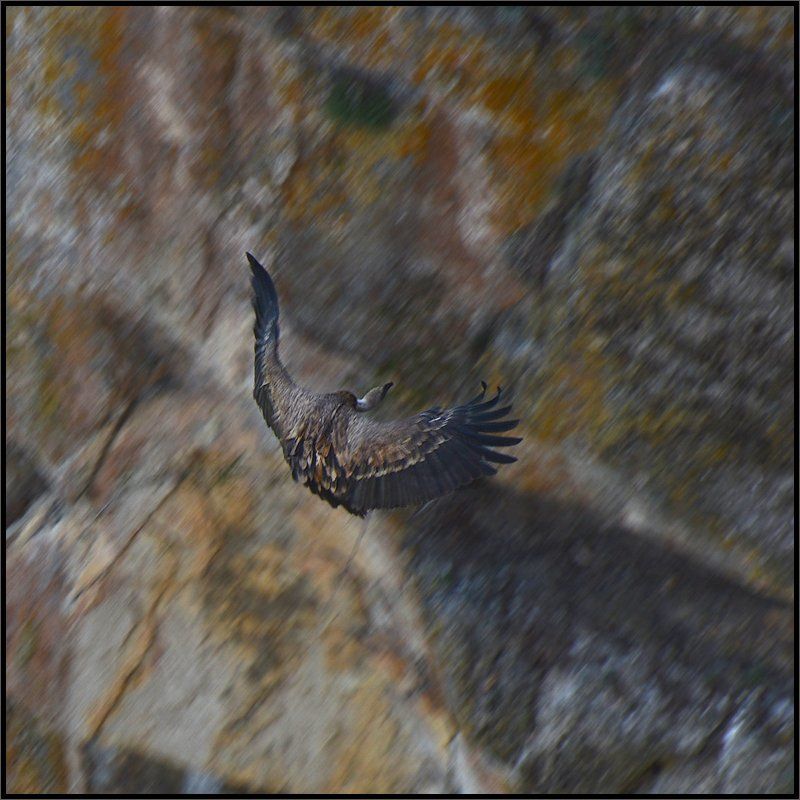 Динамика посадки фото превью