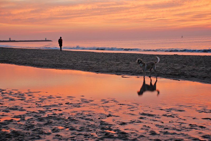 Закат на Северном море, Гаагаphoto preview