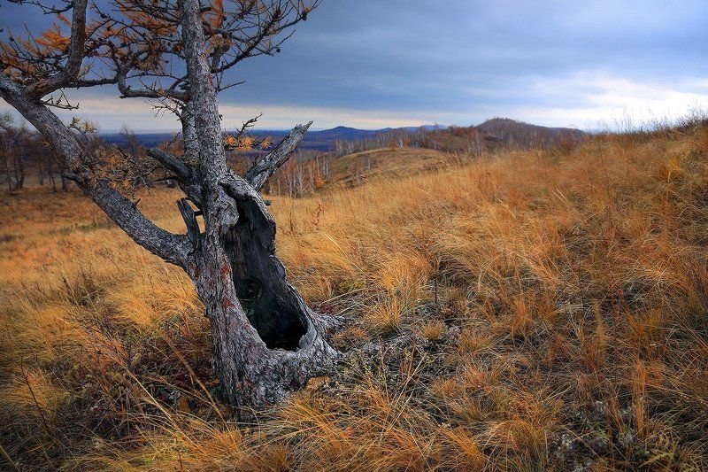 Хранитель...photo preview