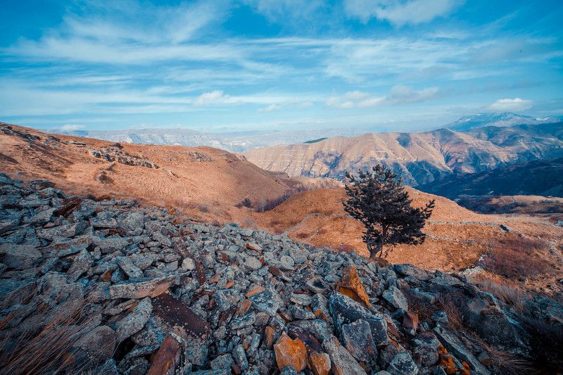 Конец зимыphoto preview