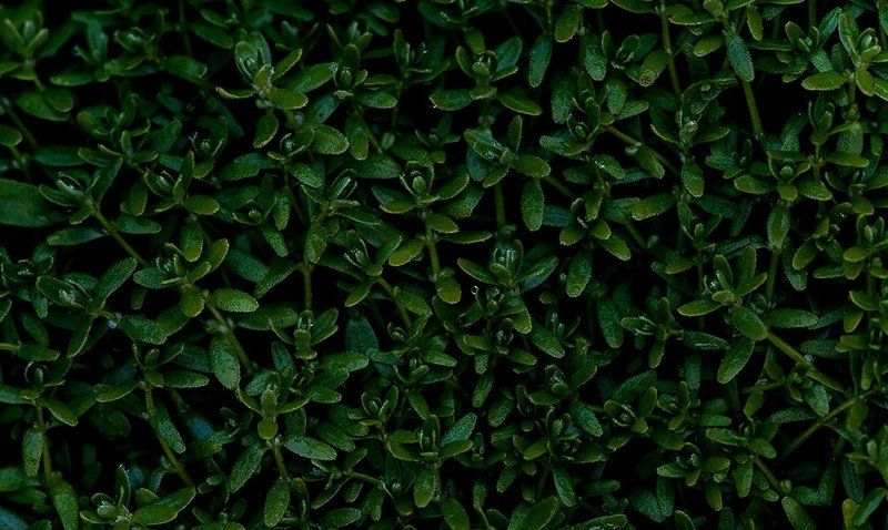 покрывалоphoto preview