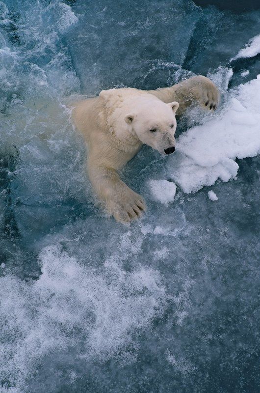 зацепиться бы...photo preview