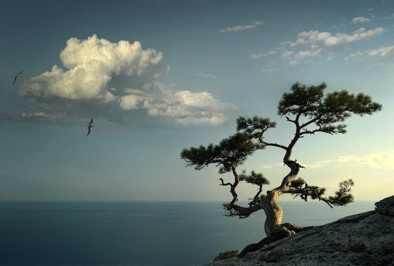 Разговор с ветромphoto preview