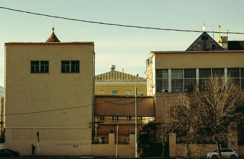 тарбеев, tarbeev -photo preview