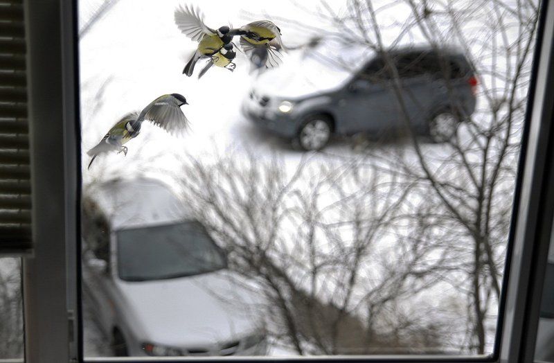 вроде шляпа, а ты так сними;)photo preview