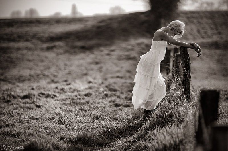 rise againphoto preview