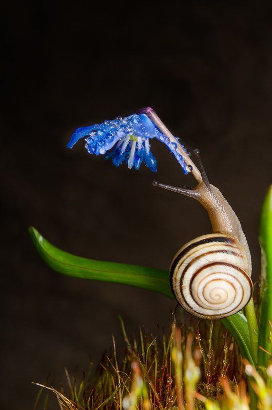 Пробуждениеphoto preview