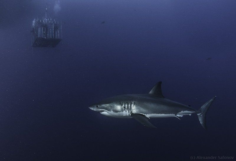 viewpointphoto preview