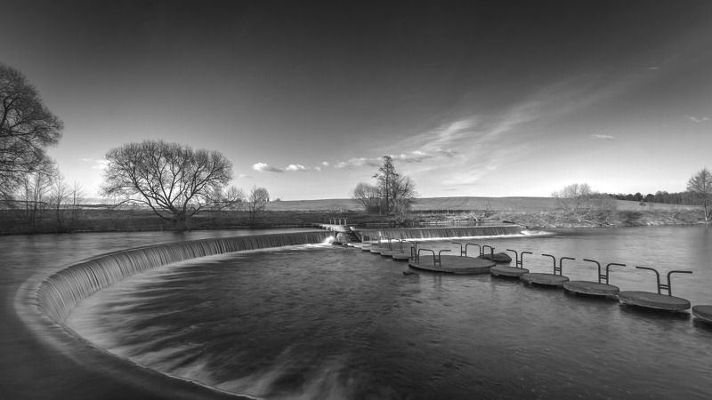 Дрозды, Каскад, Минск, Парк, Свислочь, Ч/б .....photo preview