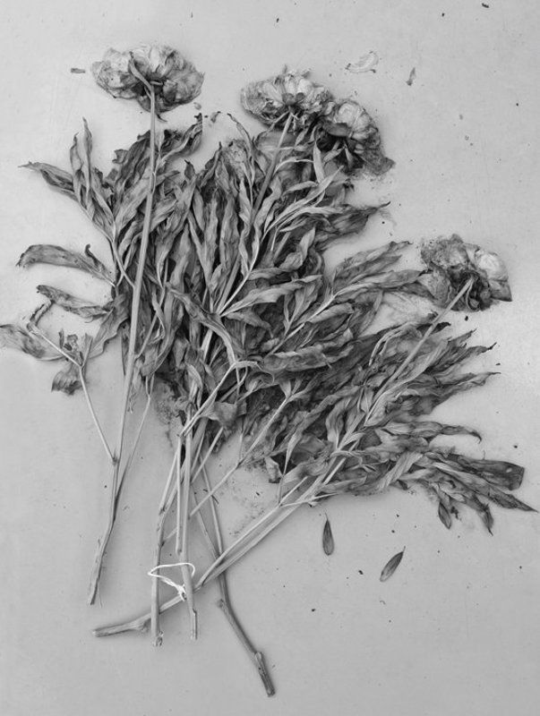 sans titre#6photo preview