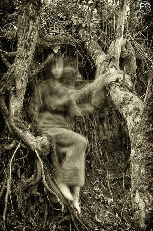 поймать фейриphoto preview