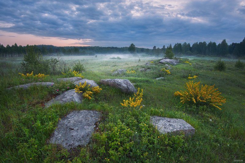 Там чудеса, там леший бродит.photo preview