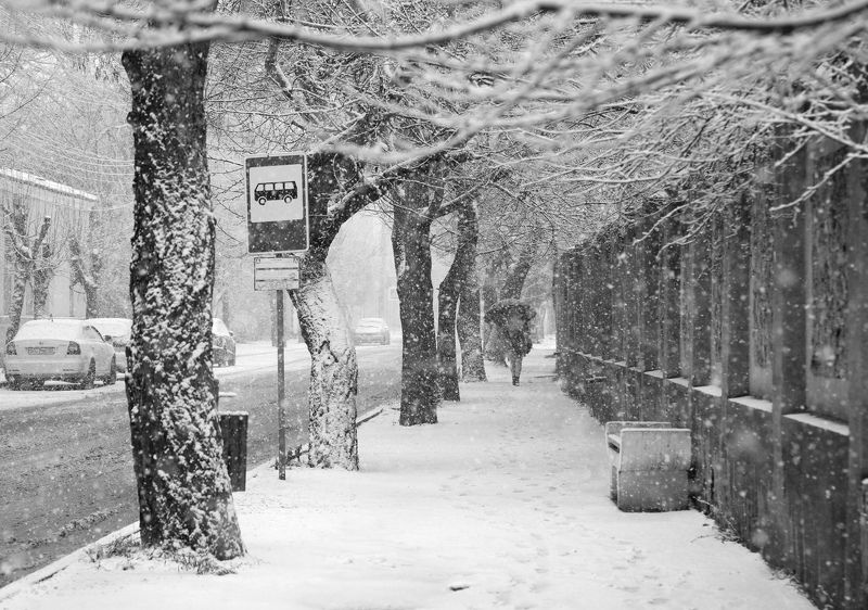 Заснежило...photo preview