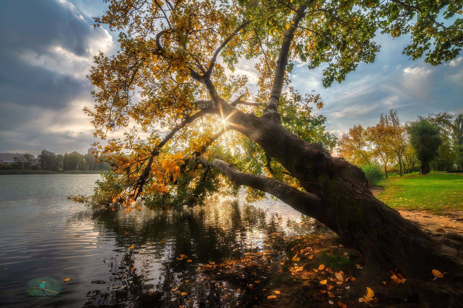 , Alexander Plekhanov