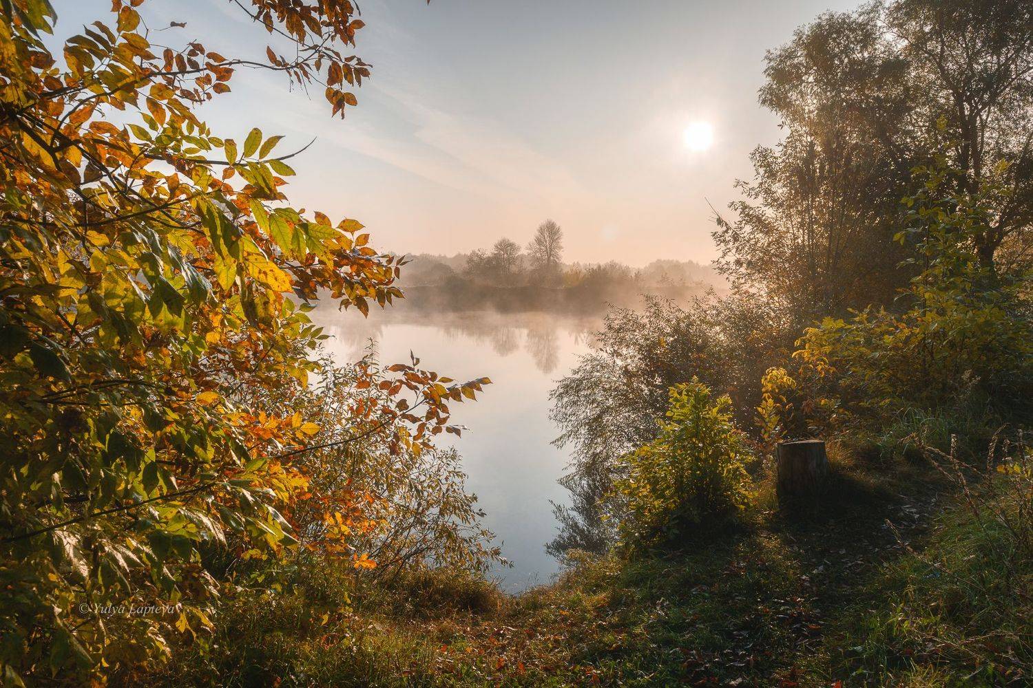 "Уютная осень". Автор: Юлия Лаптева , Юлия Лаптева