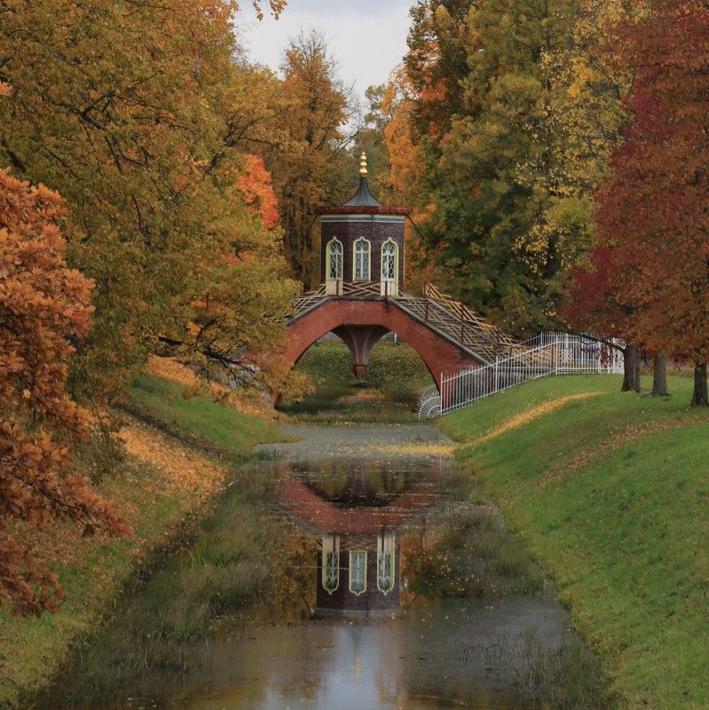 парк,осень,беседка Беседка в паркеphoto preview