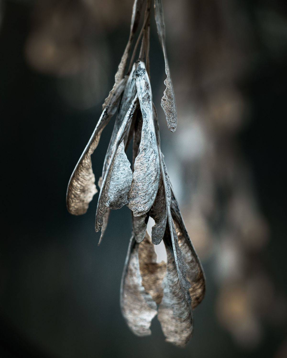 Автор: Максим Салихов , Максим Салихов