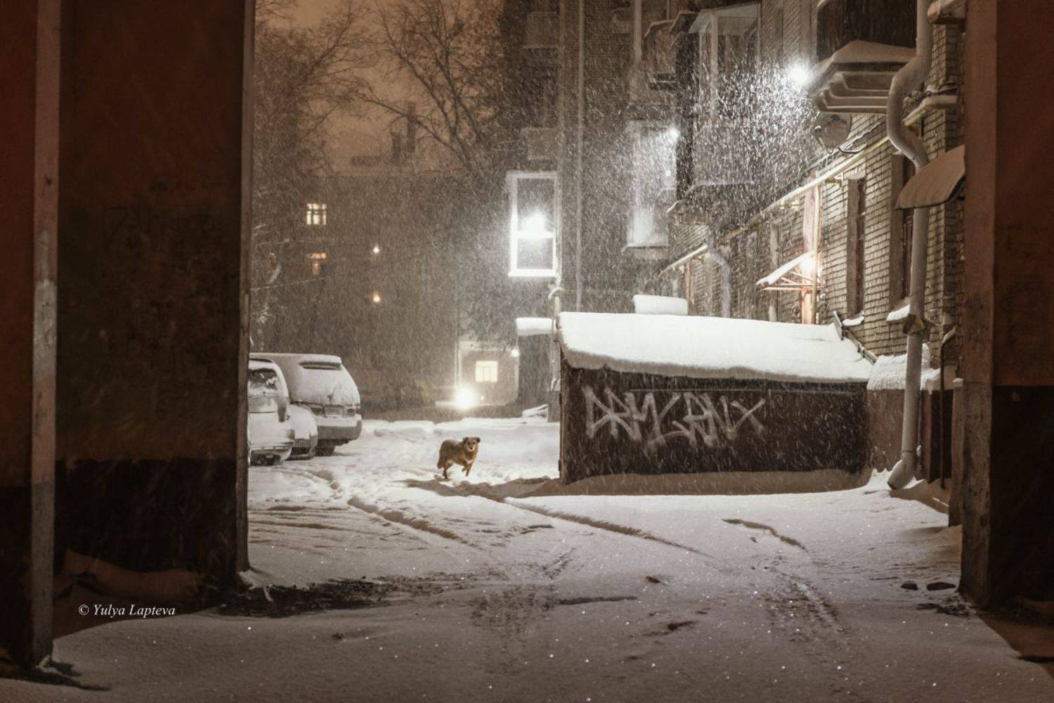 , Юлия Лаптева