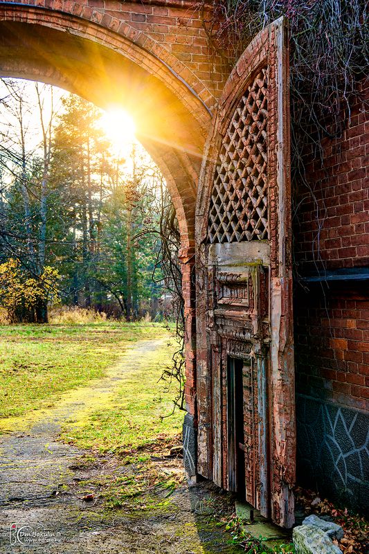 bakulind, санкт-петербург, знаменка Ворота оранжереи в усадьбе Знаменкаphoto preview