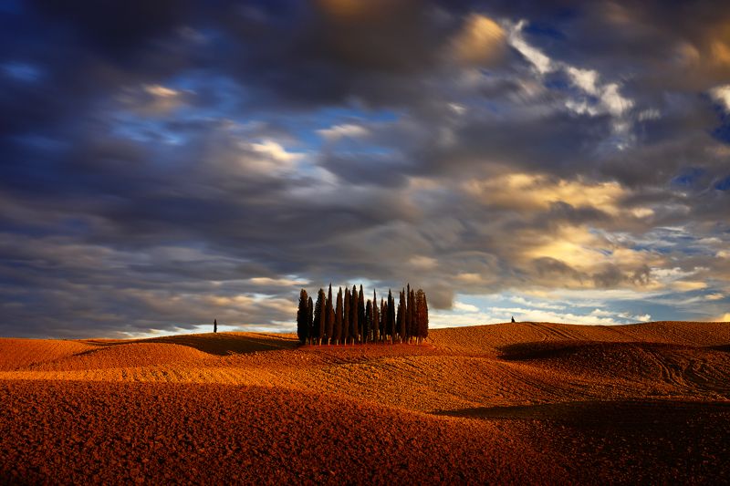 italy, tuscany, cypress, field, sunset, light, sky, evening, cloud, Cipressiphoto preview