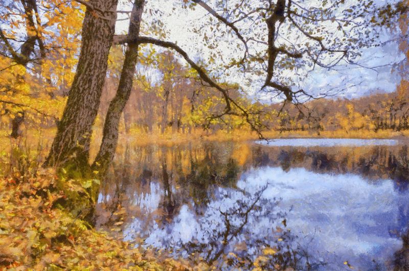 Однажды у озераphoto preview