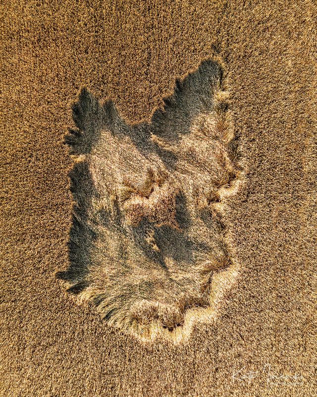 То ли конь тут валялся...photo preview