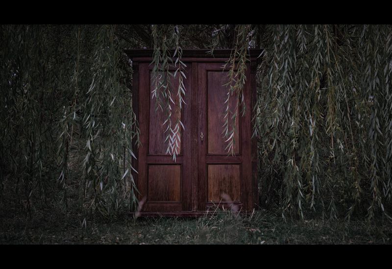 art, , story, , cinematic, ,  girl, , model, , portrait, , beauty, , hair, , autumn An Autumn Storyphoto preview