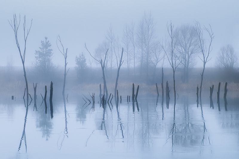 Туманphoto preview