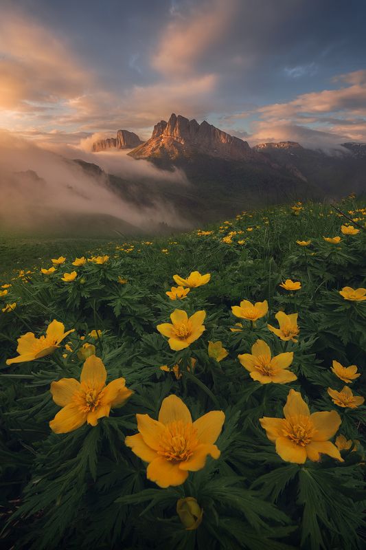 #большой, #тхач, #ачешбоки, #кавказ, #фототропы Западный Кавказphoto preview