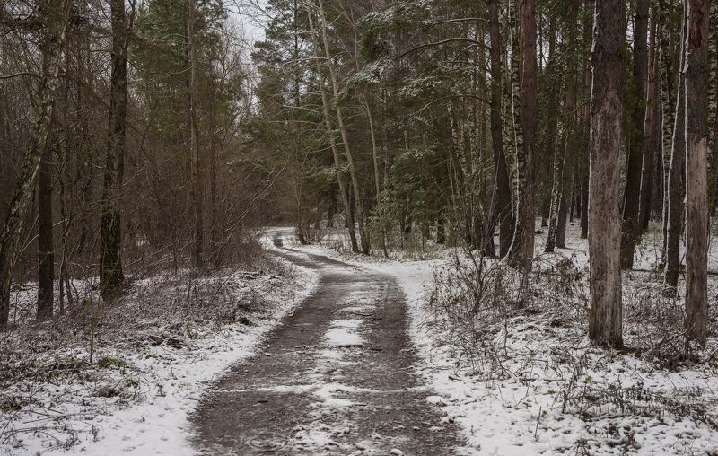 первый...photo preview