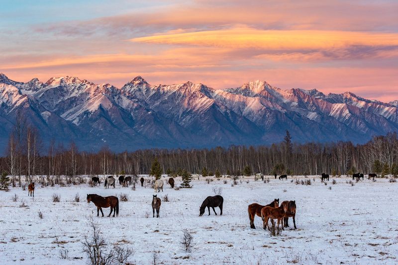 саяны Восточный Саянphoto preview