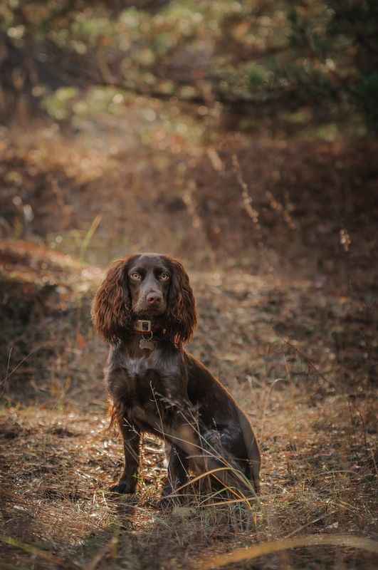 Айтиphoto preview