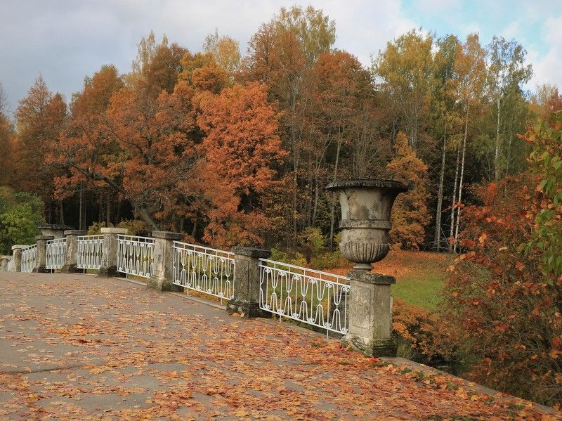мостик,осень,павловск,парк Мостикphoto preview
