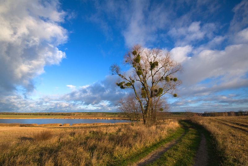 a bit of november sunshine...photo preview